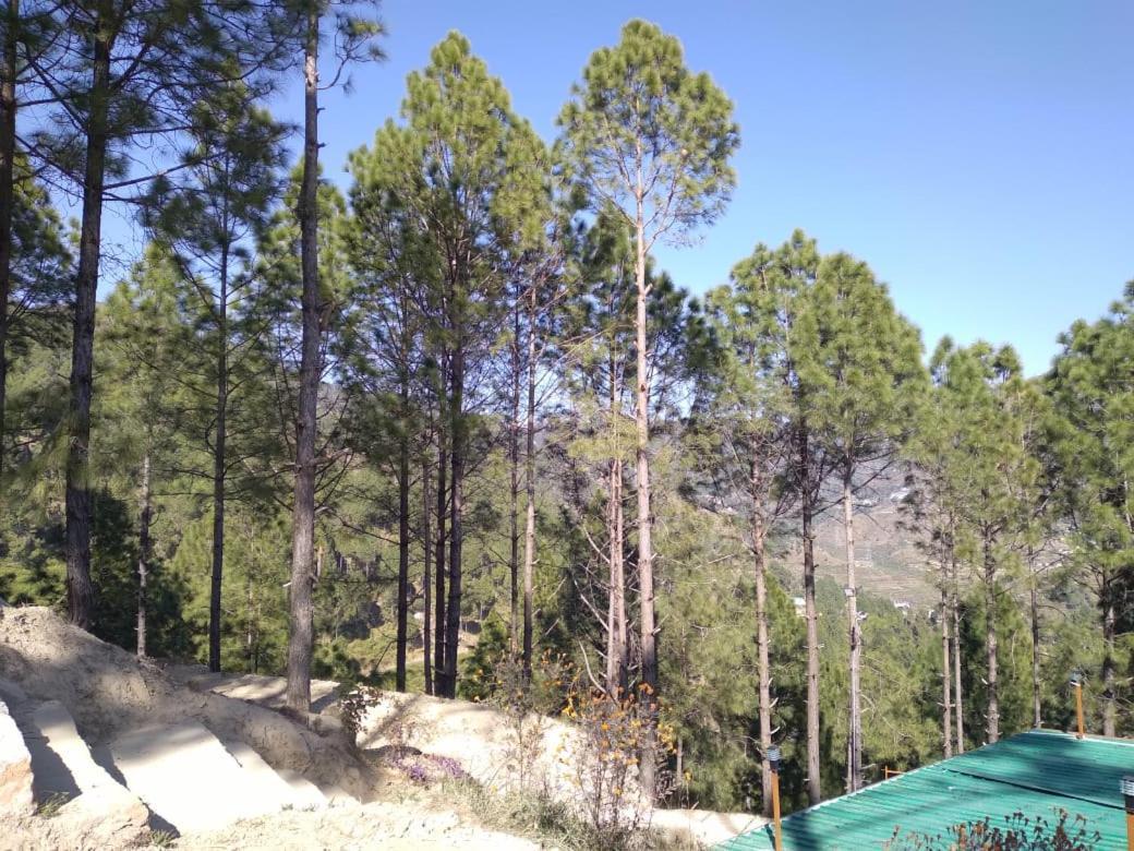 Nature Villaas Basa Homestay Pauri Экстерьер фото