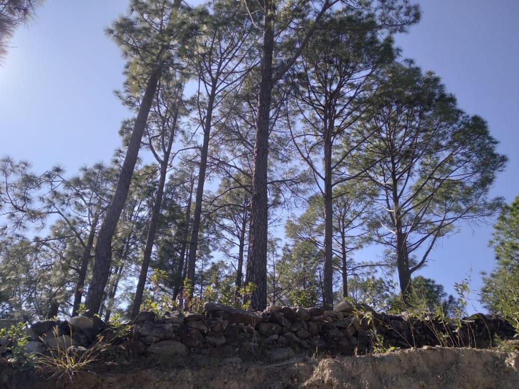 Nature Villaas Basa Homestay Pauri Экстерьер фото