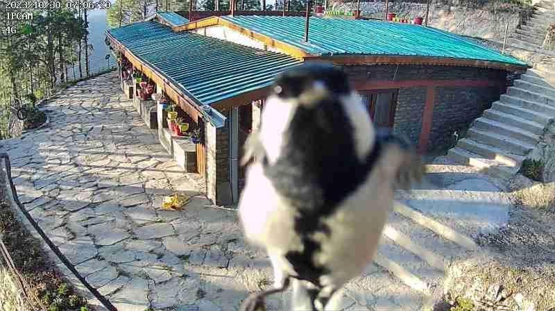 Nature Villaas Basa Homestay Pauri Экстерьер фото